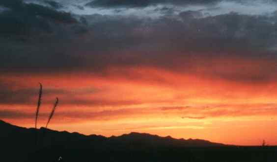 Huachuca Sunset