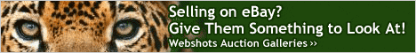 Webshots: Your World of Photos