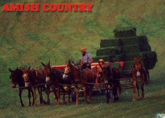 Amish County