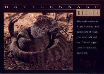 Rattlesnake Recipe