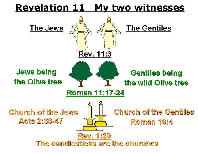 Two Witnesses Bible Chart