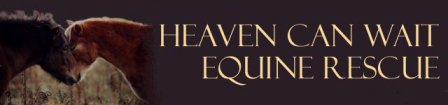 Heaven Can Wait Equine Rescue