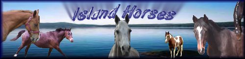 Vancouver Island Equine Directory, Message Forums and Much more!