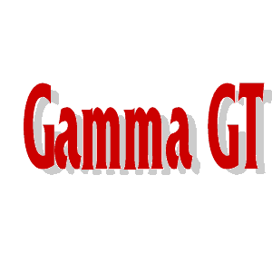 Gamma GT means GAMMA GLUTAMYL TRANSFERASE (GAMMA-GT), and is one of the parameters in the Liver function tests!