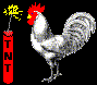 chicken-n-tnt