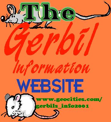 Gerbils Information Website