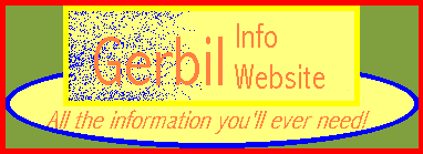 Gerbil Information Website