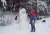 Snowman2.jpg (60077 bytes)