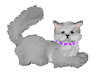 kitty2.gif (10176 bytes)