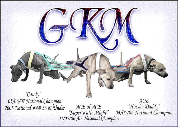 Click Here To Enter - Welcome to the Online Home of GKM American Pit Bull Terriers