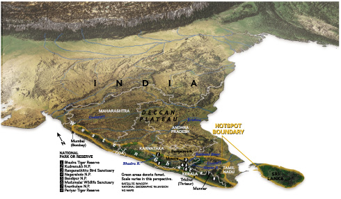 Narmada Valley Dry Deciduous Forests