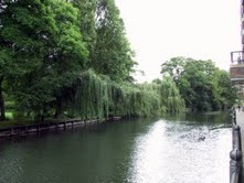 �d�e
River Cam