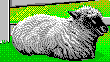 SimFarm Sheep