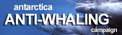 Click here to visit Sea Shepherd.