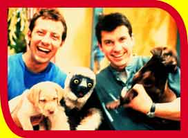 Martin, Chris, Zoboo and dogs