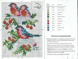 зону планшет