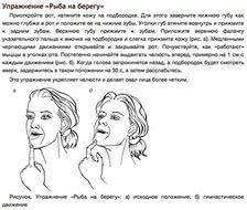 игры бобер