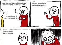 фри торрент