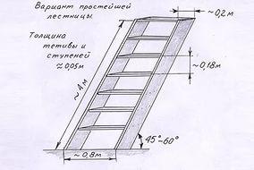 малышева о вреде меда видео