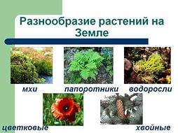 Жижина еа никитина на поурочные разработки по географии 10 класс