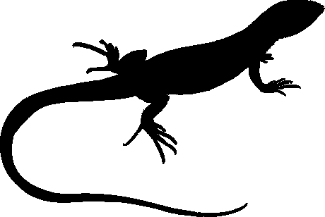Click to view Tetradactylus-paper