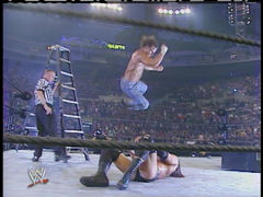 Shawn with an elbow drop to Hunter from the top of a ladder!