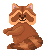 Raccoon