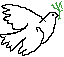 Dove