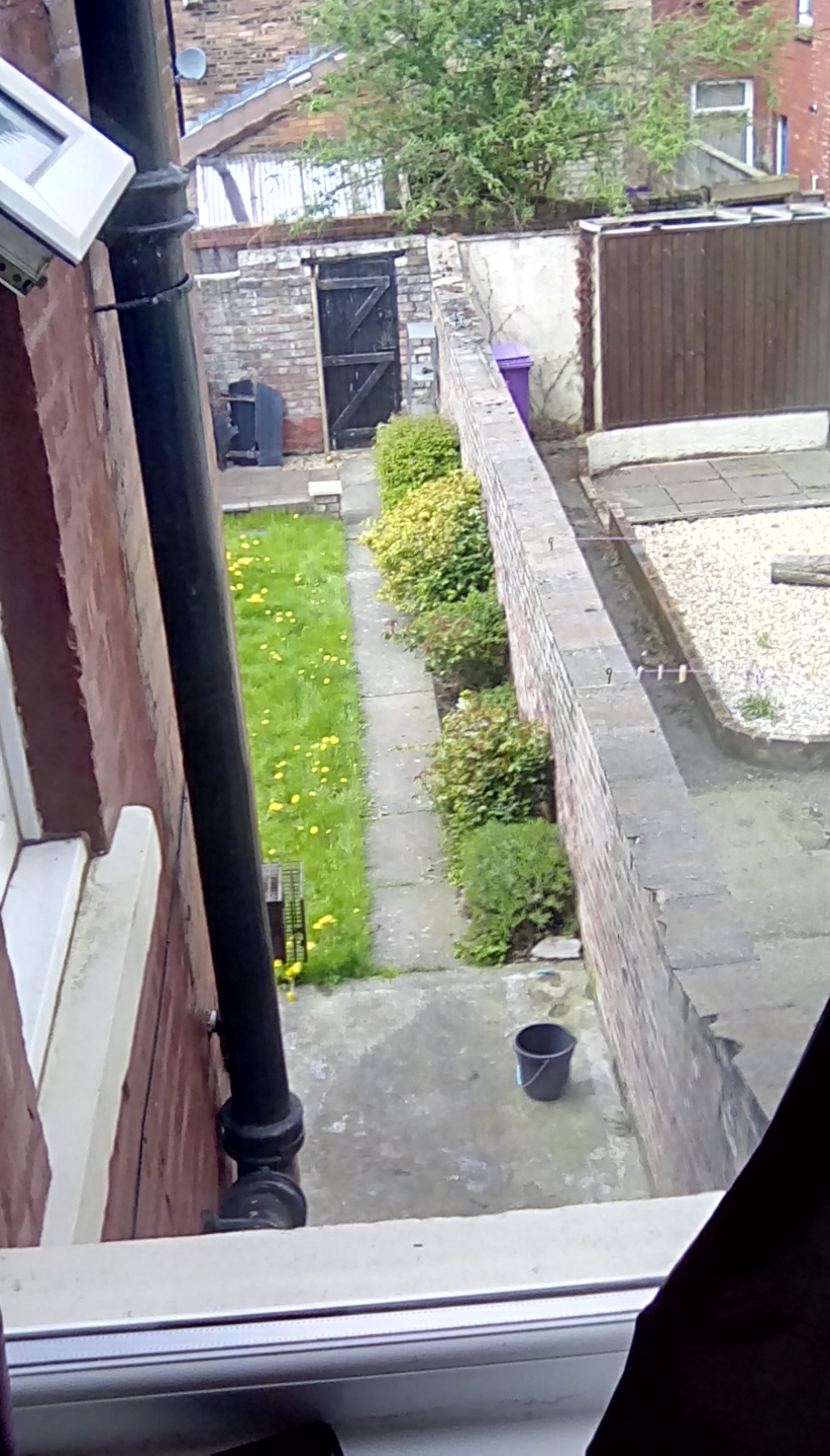 look out of window