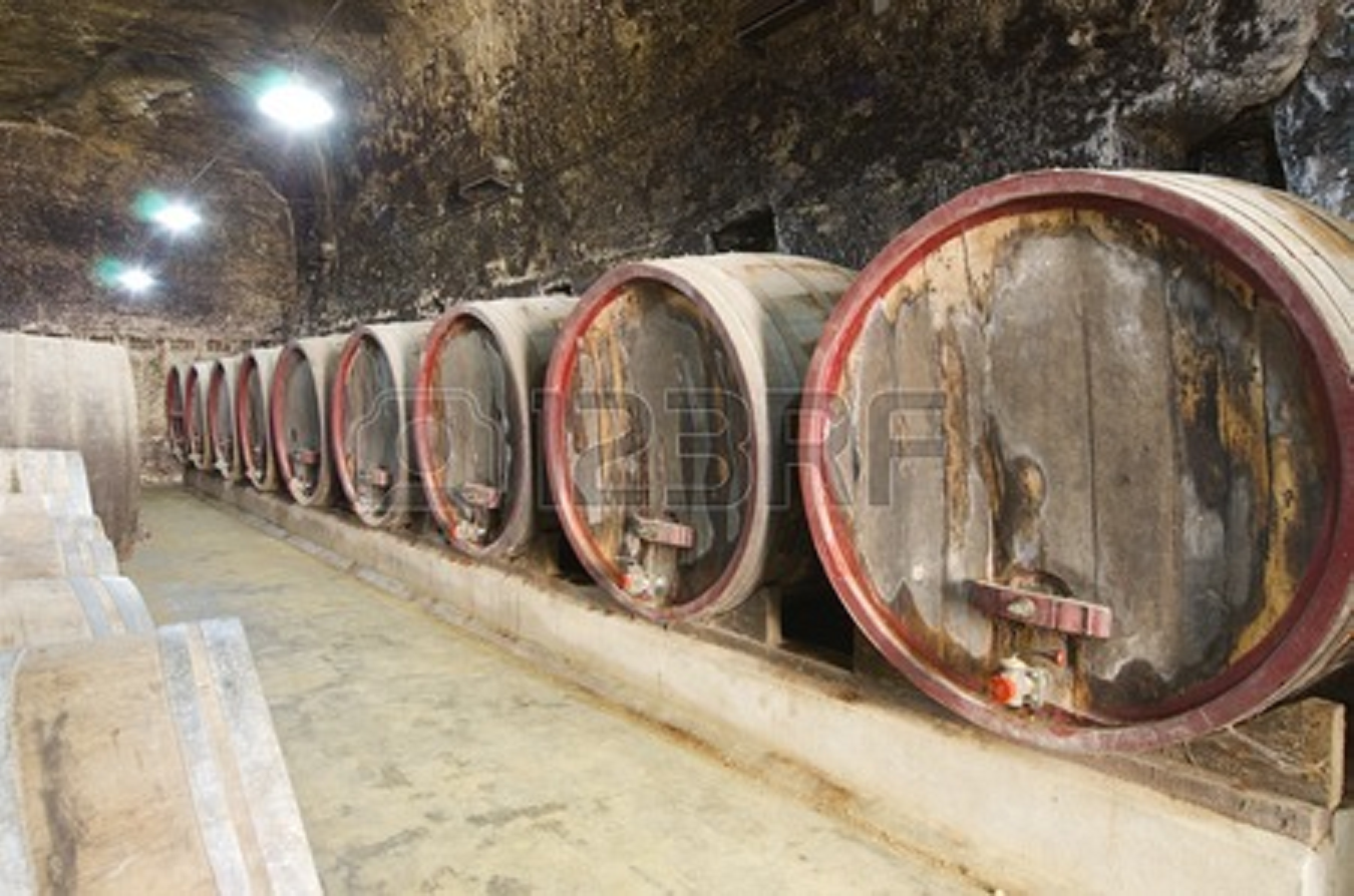 http://www.geocities.ws/hopart/HTMLICAL/wine-barrels-in-breze-castle-loire-valley-france-built-YESTERDAY.PNG