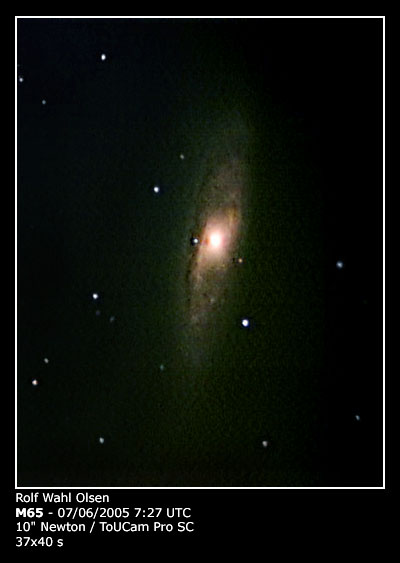 Spiral galaxy M65