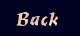 Back Button