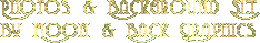 Moon and Back Graphics Logo