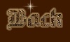 Back Button
