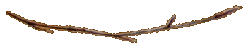 Time Bar