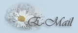 E-mail Me
