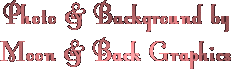Moon and Back Graphics Logo