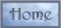 Home Button