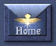 Home Button