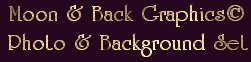 Moon and Back Graphics Logo