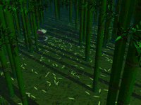 Bamboo Forest, 3d image