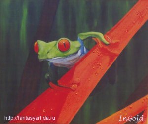 Red eyed frog No 1