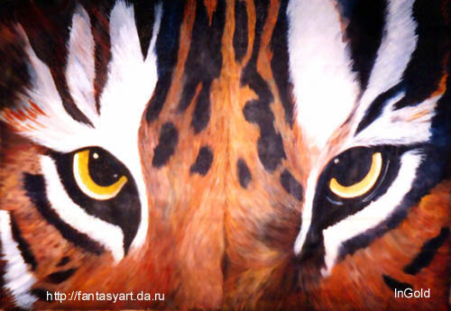 Tigers Eyes