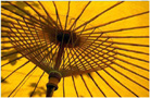 Yellow umbrella.