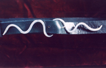 Belt buckle. Hand made forged aluminum