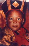 The Karmapa