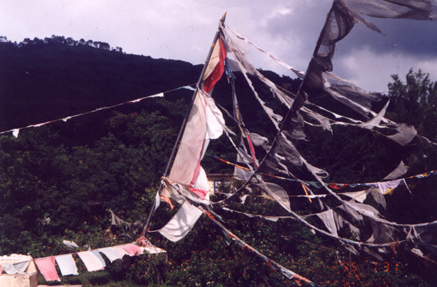 Prayer flags over Tashi Jong