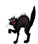 ff6