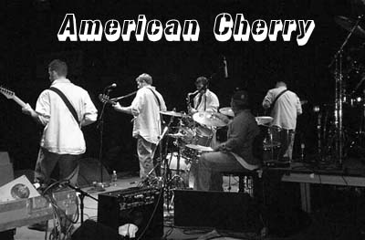 American Cherry