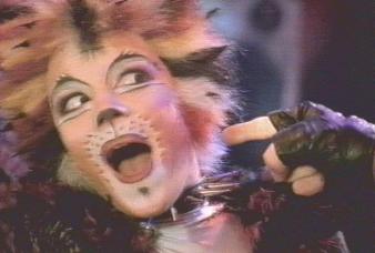 cats the musical jemima